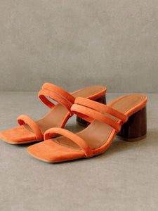 Sandalia Indiana